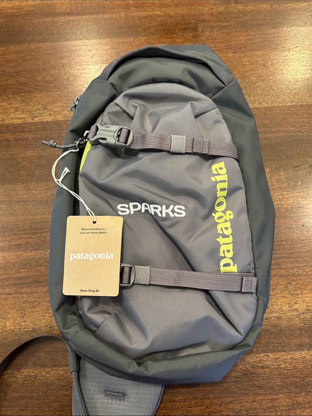 Patagonia Atom Sling 8L